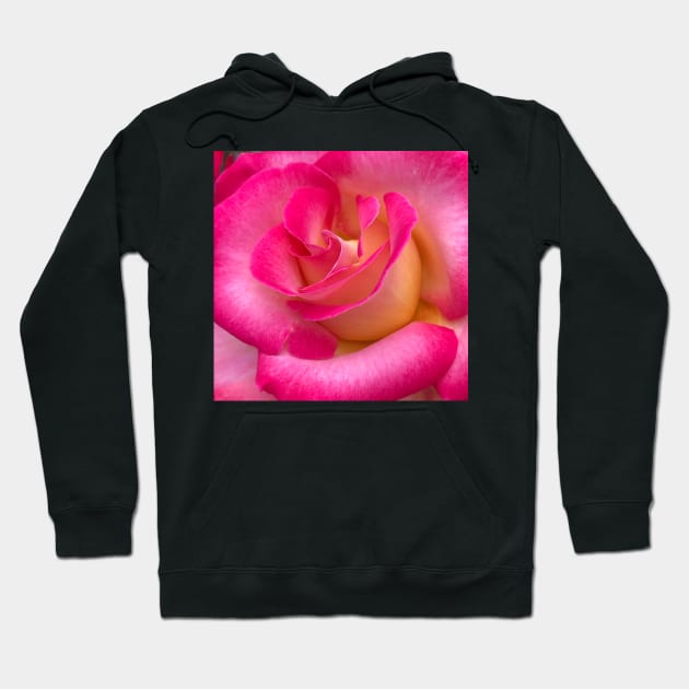 Love as a Pink Rose Hoodie by Photomersion